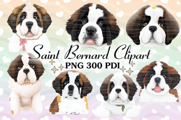 Cute Baby Saint Bernard Clipart Art
